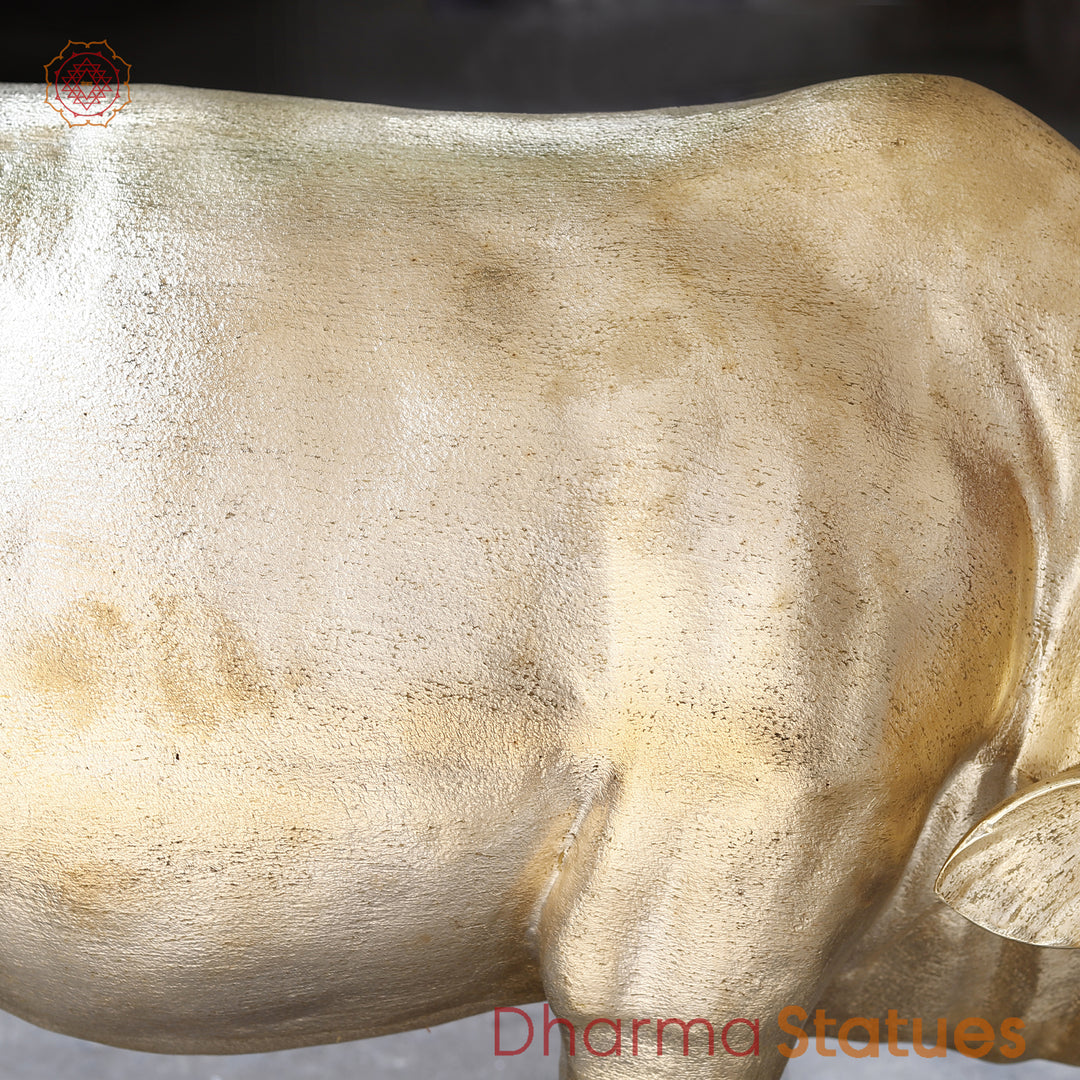 Brass Kamdhenu Cow With Calf Fine Finish 33"