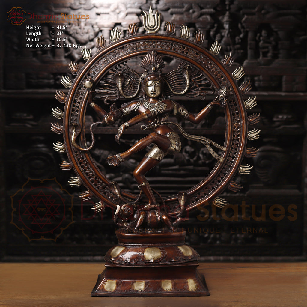 Brass Nataraja Dancing Shiva, Copper and Fine Golden Touch 41.5" front view