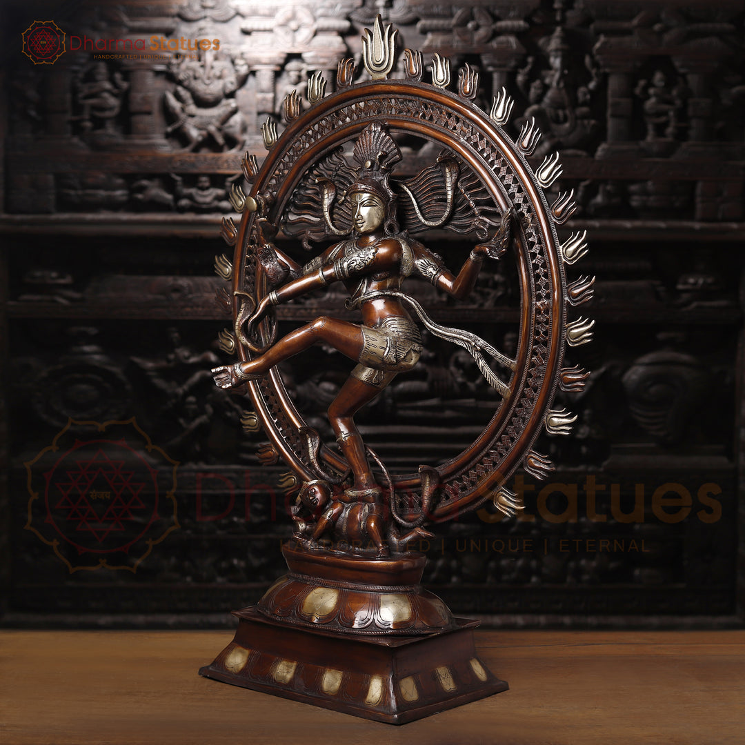 Brass Nataraja Dancing Shiva, Lord Shiva Performing Tandava Nirtye 41.5"