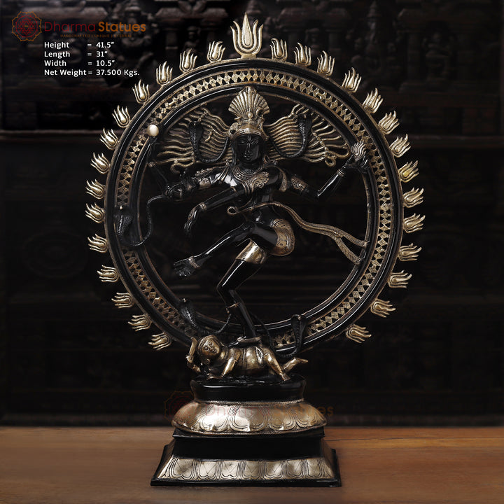 Brass Natraj, The Natraja Statue Depicts Lord Shiva's Cosmic Dance, 41.5"