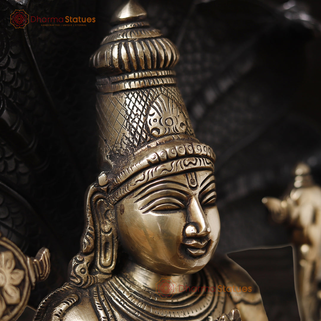 Brass Patanjali (God Of Yoga) Black & Gold Finish 15"