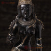 Brass Parvati Standing Fine Black Patina with Golden Hues, Carved in South India 27"