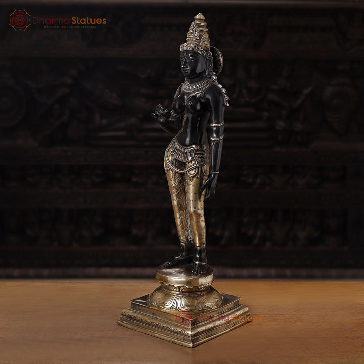 Brass Parvati Standing Fine Black Patina Carved in South India 27"