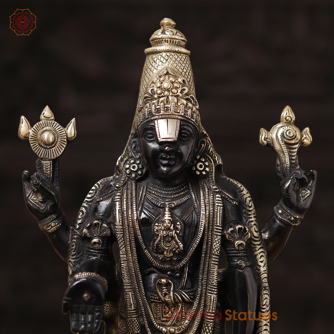 Brass Balaji Standing on Lotus Base, Fine Craftsmanship, Black & Gold Finish 15.5"