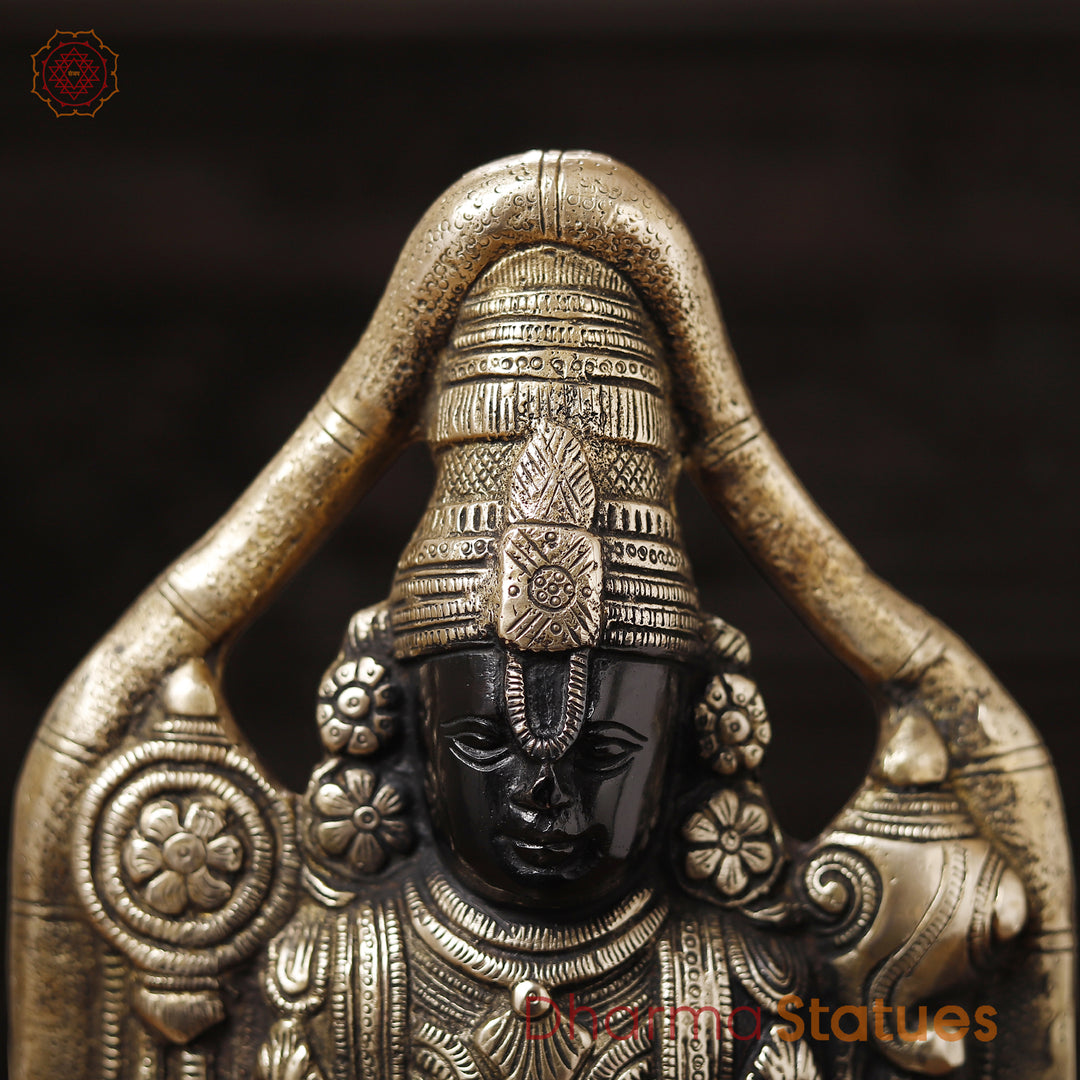 Brass Balaji Standing , Black & Gold Finish 18.5"