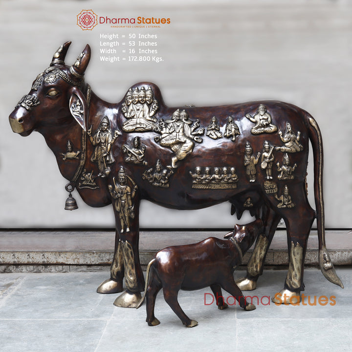 Brass Kamadhenu Cow with Calf, Crafted with Universe on the Body, Rich Copper & Golden Finish, 50"