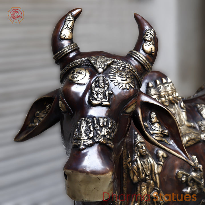 Brass Kamadhenu Cow with Calf, Crafted with Universe on the Body, Rich Copper & Golden Finish, 50"