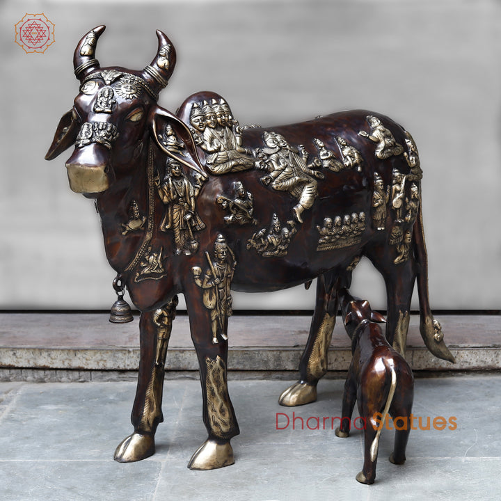 Brass Kamadhenu Cow with Calf, Crafted with Universe on the Body, Rich Copper & Golden Finish, 50"