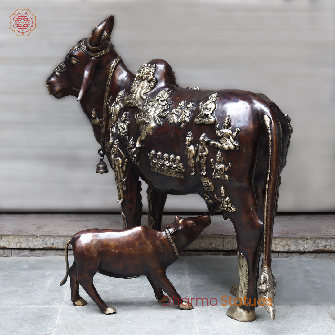 Brass Kamadhenu Cow with Calf, Crafted with Universe on the Body, Rich Copper & Golden Finish, 50"