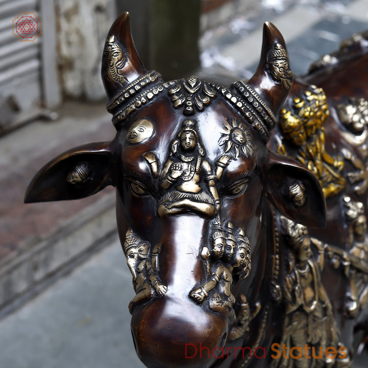 Brass Kamadhenu Cow with Calf, Crafted with Universe on the body, Rich Copper & Golden Finish, 34"