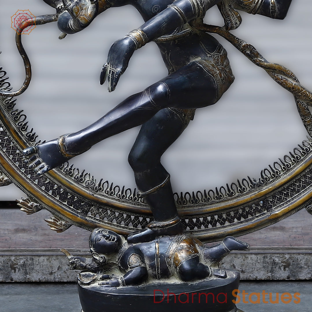 Brass Nataraj , Black Patina & Golden Finish, 54"