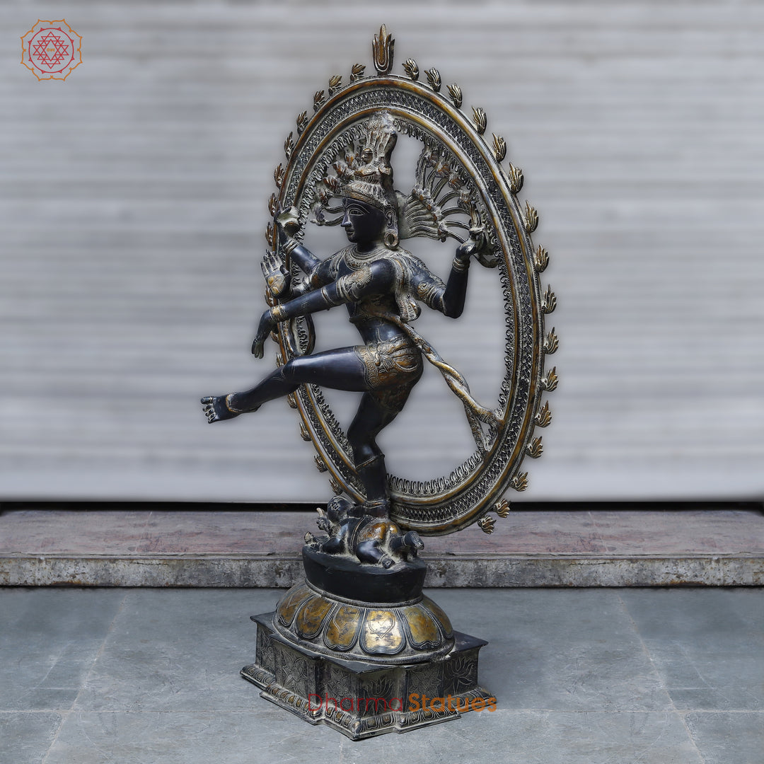 Brass Nataraj , Black Patina & Golden Finish, 54"