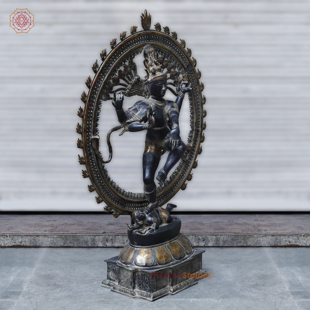 Brass Nataraj , Black Patina & Golden Finish, 54"