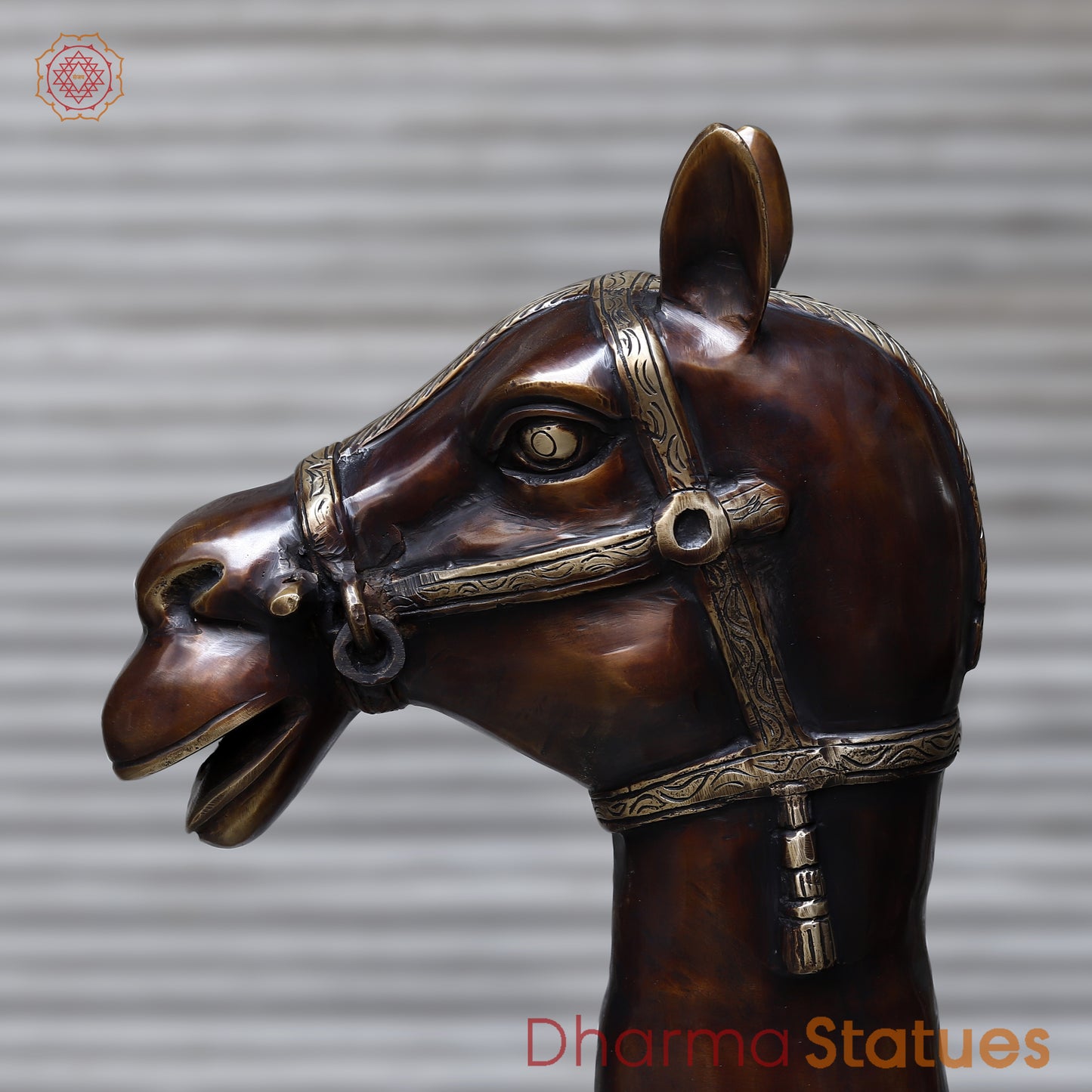 Brass Camel, Copper & Golden Finish, 49"