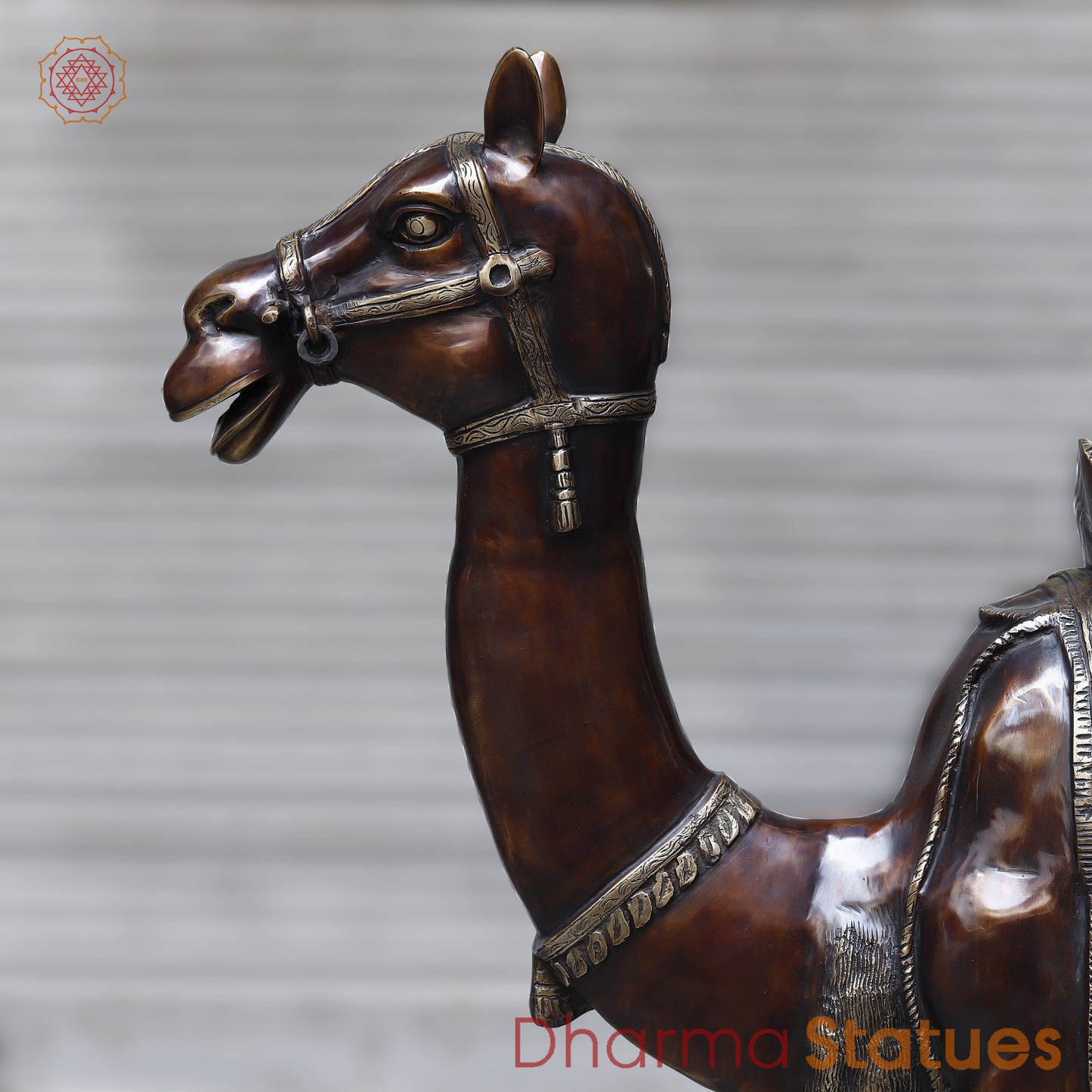Brass Camel, Copper & Golden Finish, 49"
