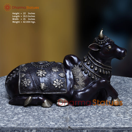Brass Nandi seated, Black Patina & Golden Finish, 22"