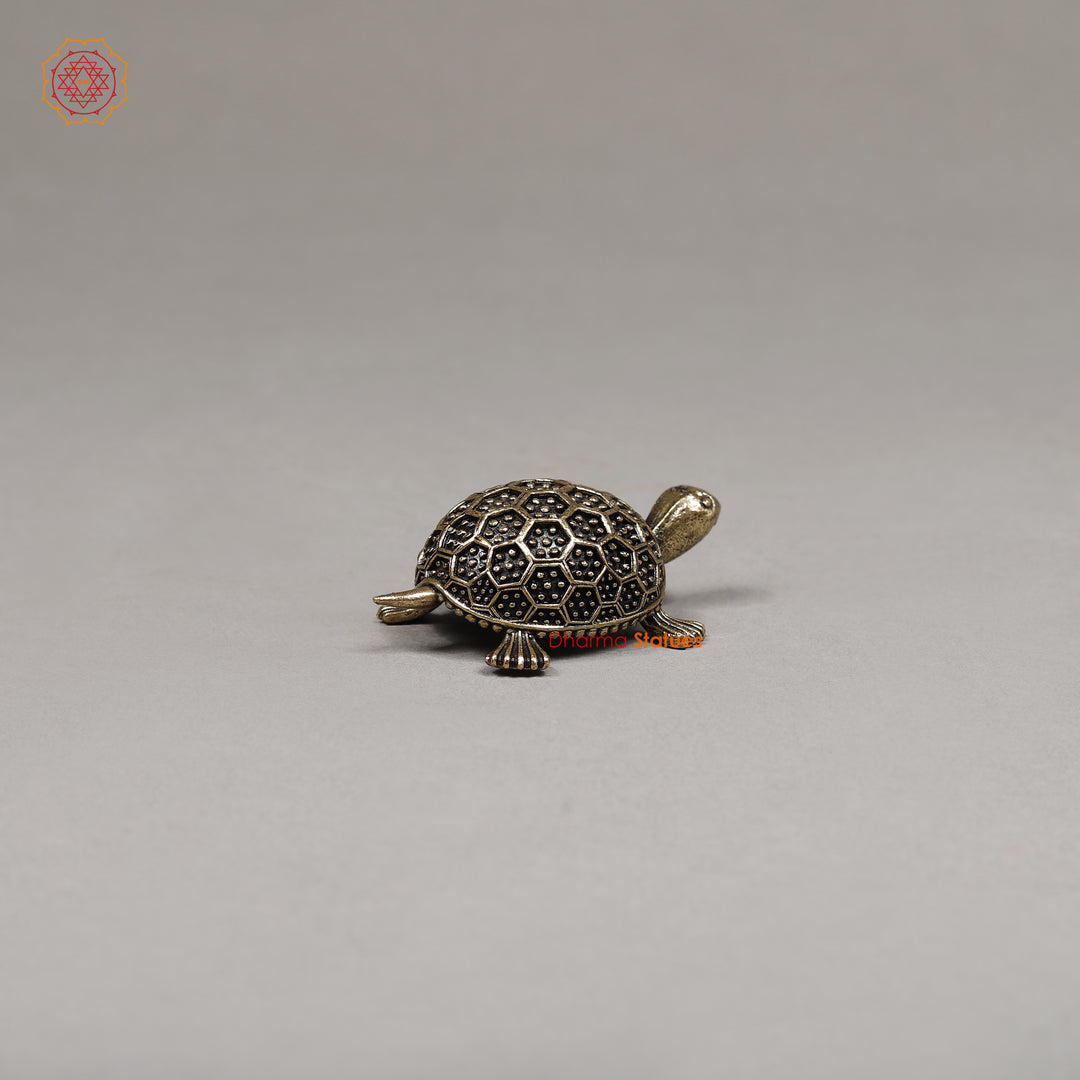 Brass Tortoise, 1"