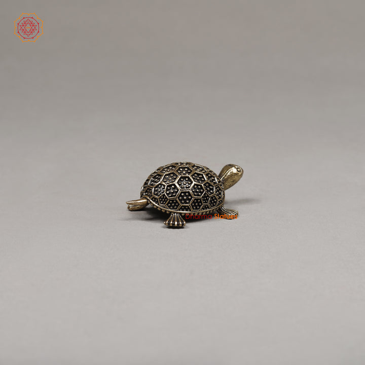 Brass Tortoise, 1"