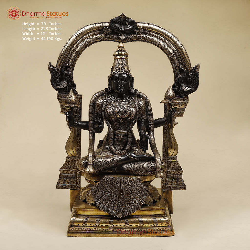 Brass Lakshmi Sitting (Padmavathi) With Special Frame, Deep Black & Smooth Finish, 30"