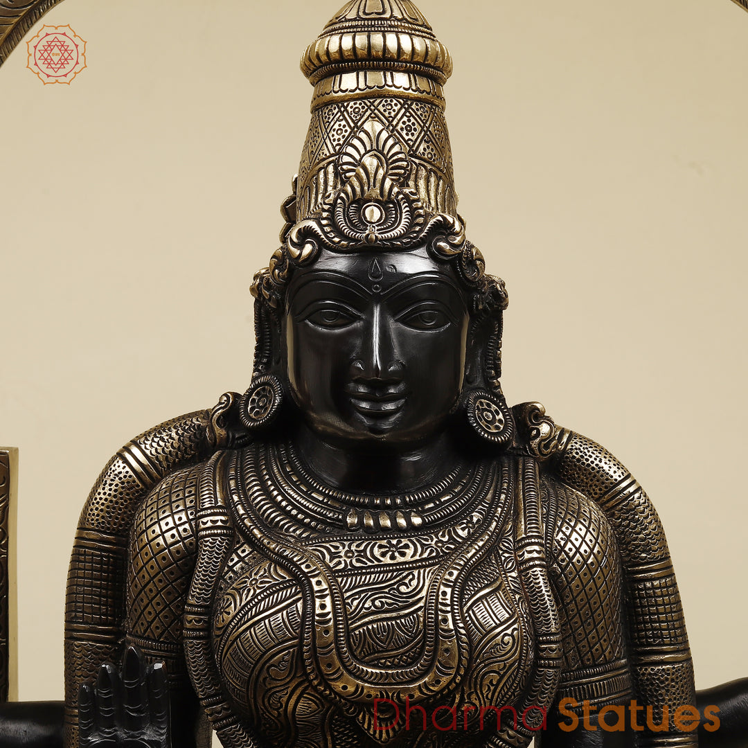 Brass Lakshmi Sitting (Padmavathi) With Special Frame, Deep Black & Smooth Finish, 30"