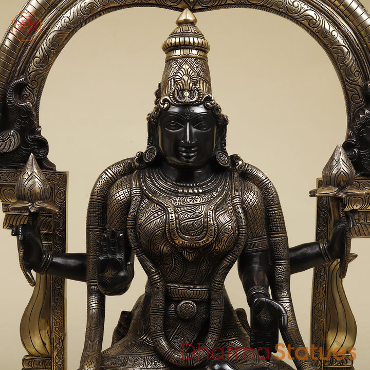 Brass Lakshmi Sitting (Padmavathi) With Special Frame, Deep Black & Smooth Finish, 30"