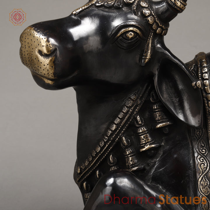 Brass Nandi Seated With Fine Carving, Black Patina & Smooth Finish, 22"