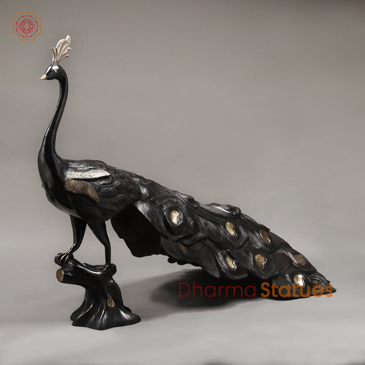 Brass Peacock With Beautiful Feathers, Deep Black Finish 24.5"