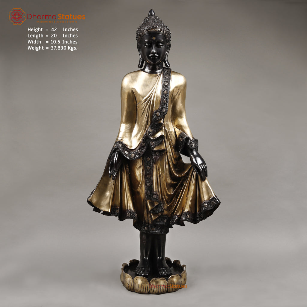 Brass Buddha Standing, Deep Black and Smooth Finish 42"