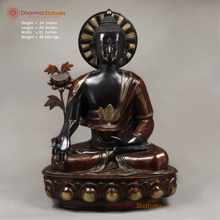 Brass Buddha Medicine Posture, Deep Black and Rich copper Finish 34"