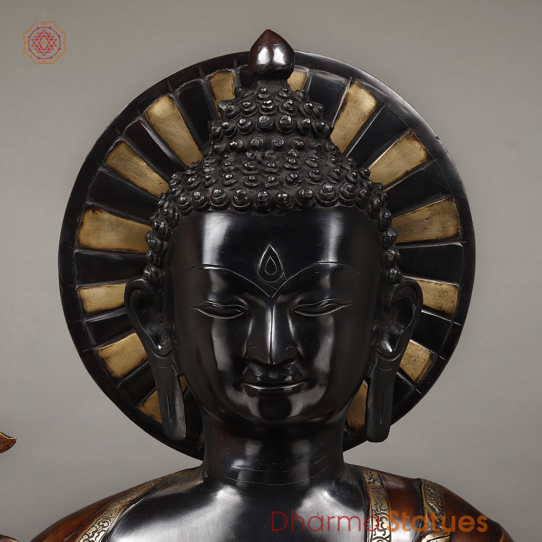 Brass Buddha Medicine Posture, Deep Black and Rich copper Finish 34"