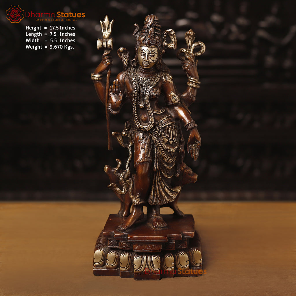 Brass Ardhanarishwar Statue, Standing, Copper Finish 17.5"  front view