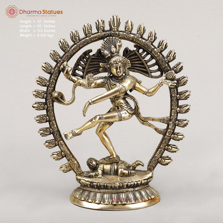 Brass Natraj Idol, Dancing Lord Shiva, Golden Finish 12"