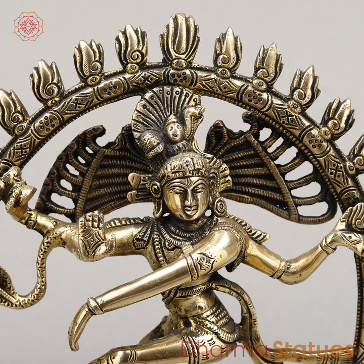 Brass Natraj Idol, Dancing Lord Shiva, Golden Finish 12"