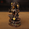 Brass Lakshmi Statue, Sitting on a Pedestal, Copper & Gold Finish 8"