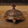 Brass Tortoise Inscense Burner, Antique Gold Finish 5"