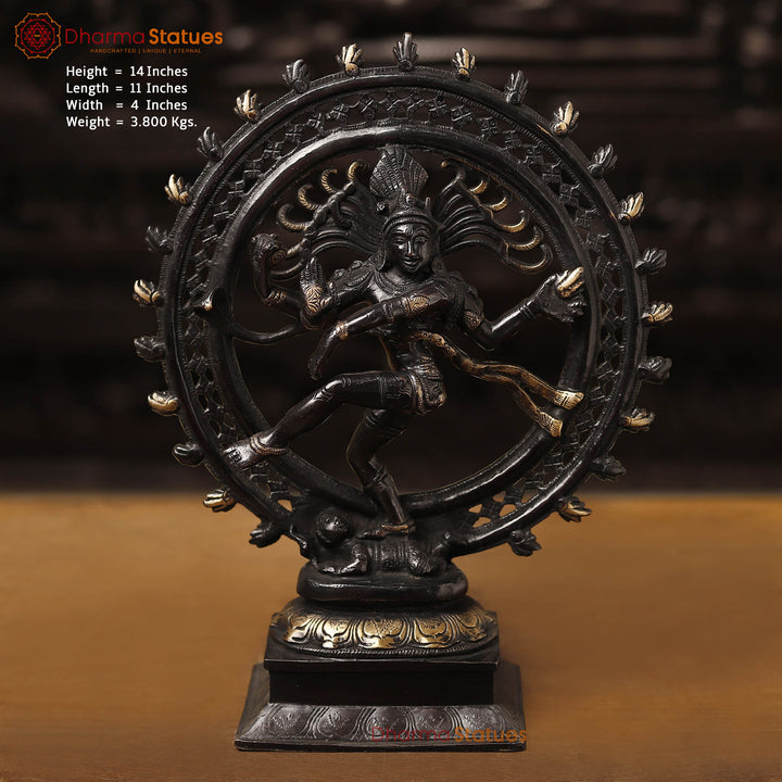 Brass Natraj, Nataraja is a depiction of the Hindu god Shiva as a divine dancer. 14"