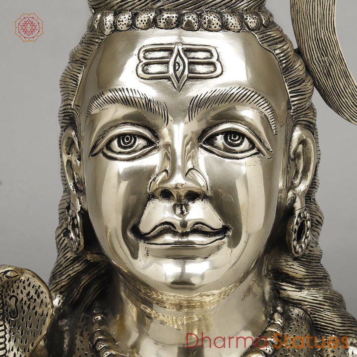 Brass Shiva Head With Ganga on Crown, Fine Smooth Finish, 20"