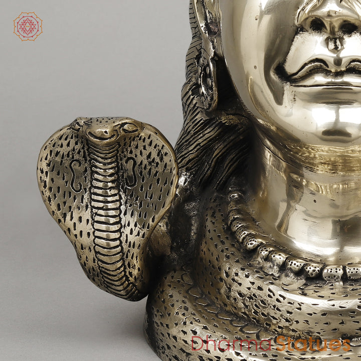 Brass Shiva Head With Ganga on Crown, Fine Smooth Finish, 20"