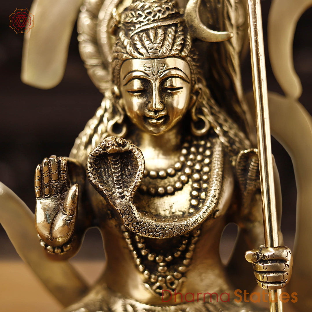 Brass Om Shiva. Crafted with Precision and Devotion. 11.5"
