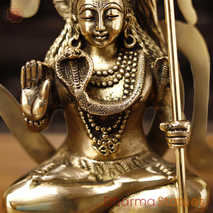Brass Om Shiva. Crafted with Precision and Devotion. 11.5"