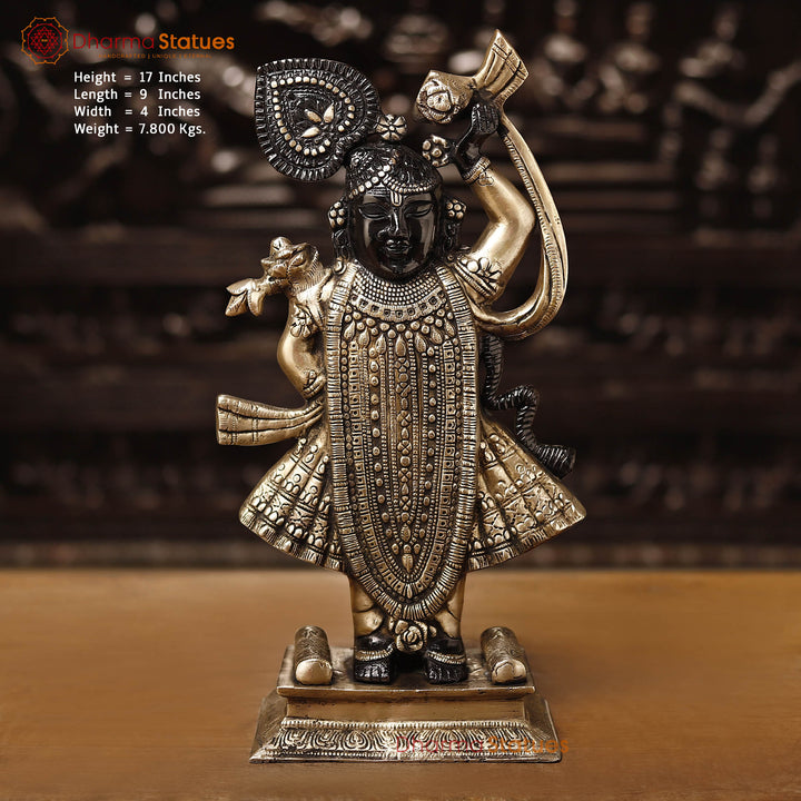 Brass Shrinath Ji, This Beautiful Brass Idol of Hindu God Shrinath Ji 17" Front View