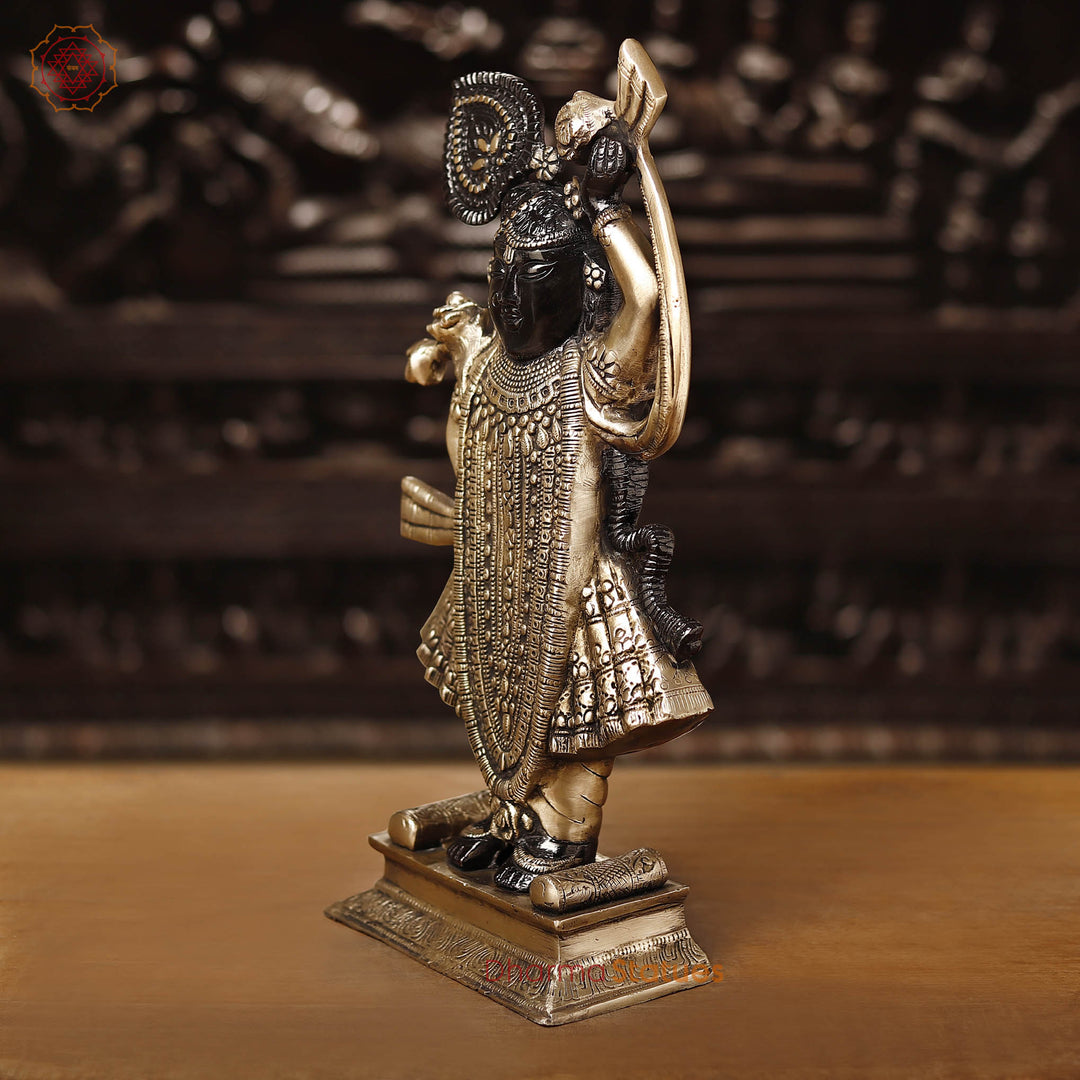 Brass Shrinath Statue, Golden & Black Patina Finish, 17"