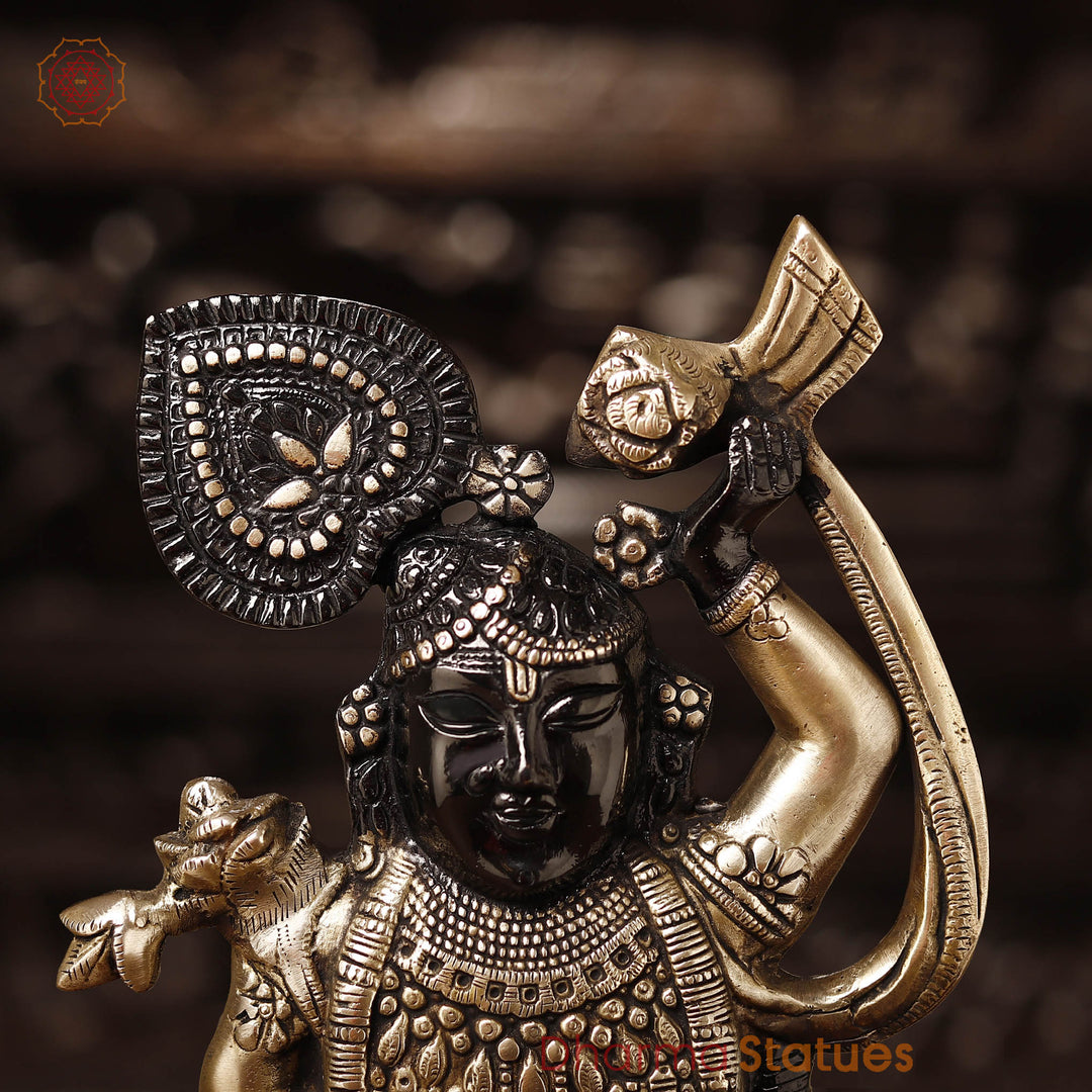 Brass Shrinath Statue, Golden & Black Patina Finish, 17"