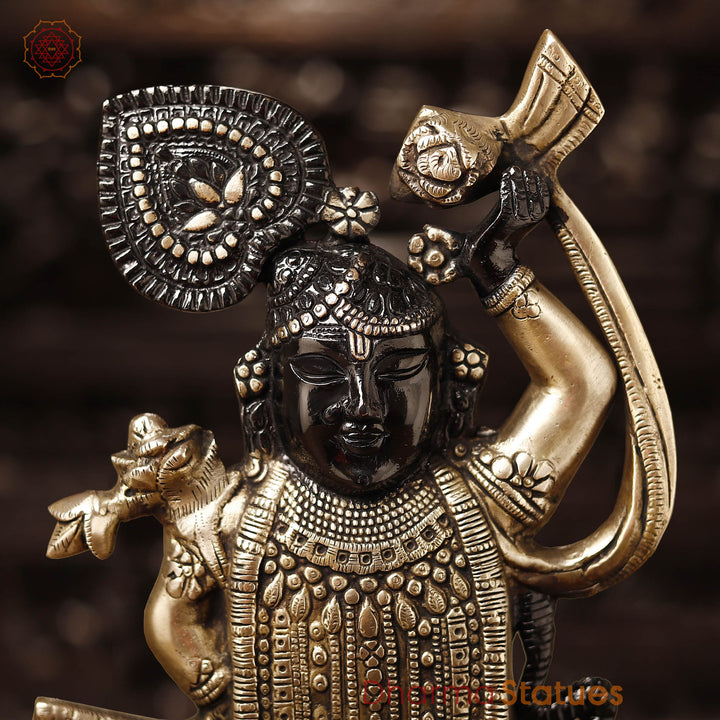 Brass Shrinath Statue, Golden & Black Patina Finish, 17"