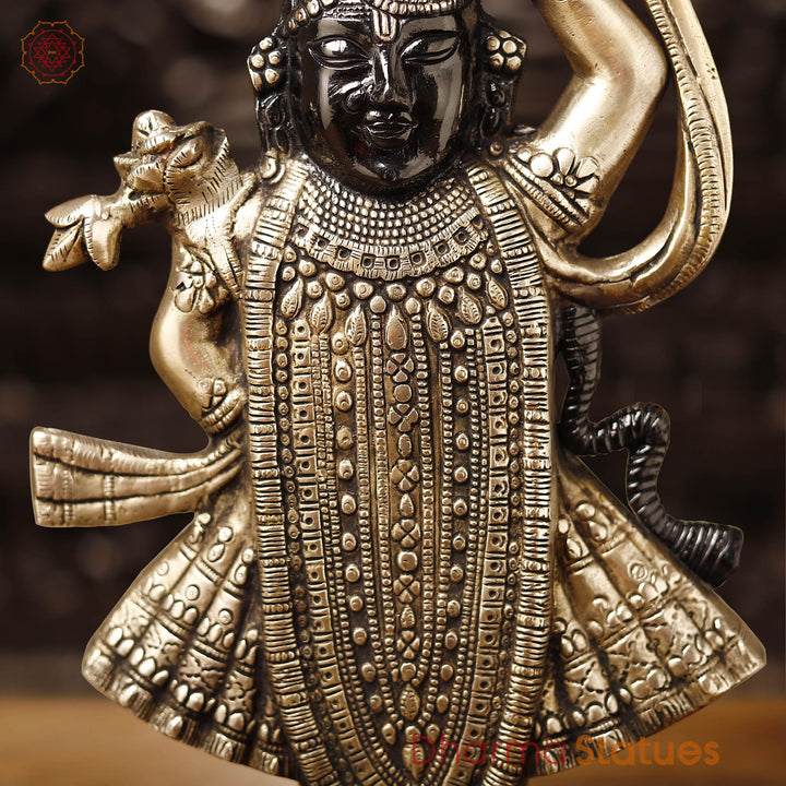 Brass Shrinath Statue, Golden & Black Patina Finish, 17"