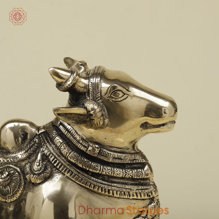 Brass Nandi Seated on Base, Fine Smooth Finish, 7.5"