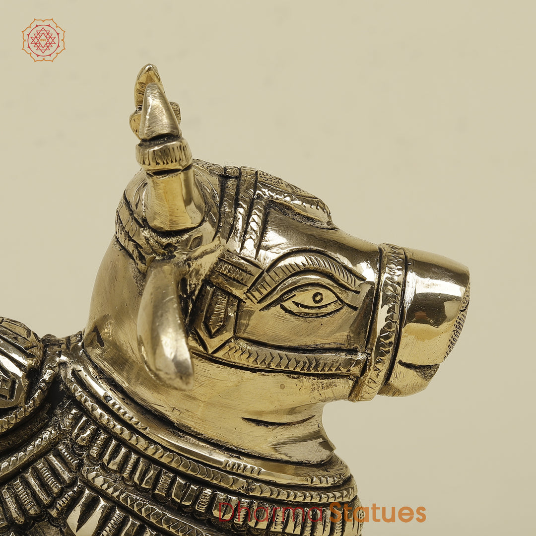 Brass Nandi Seated, Fine Golden Finish, 7.5"