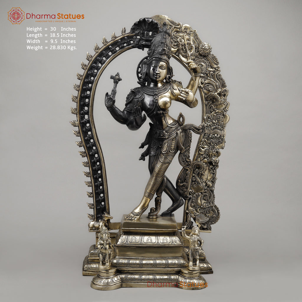 Brass Ardhanarishwara Standing with Frame, Shiv & Parvati as One, Deep Black & Smooth finish, 30"