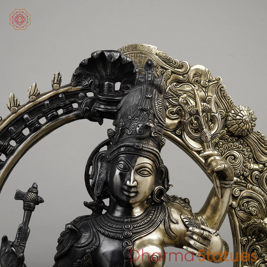 Brass Ardhanarishwara Standing with Frame, Shiv & Parvati as One, Deep Black & Smooth finish, 30"