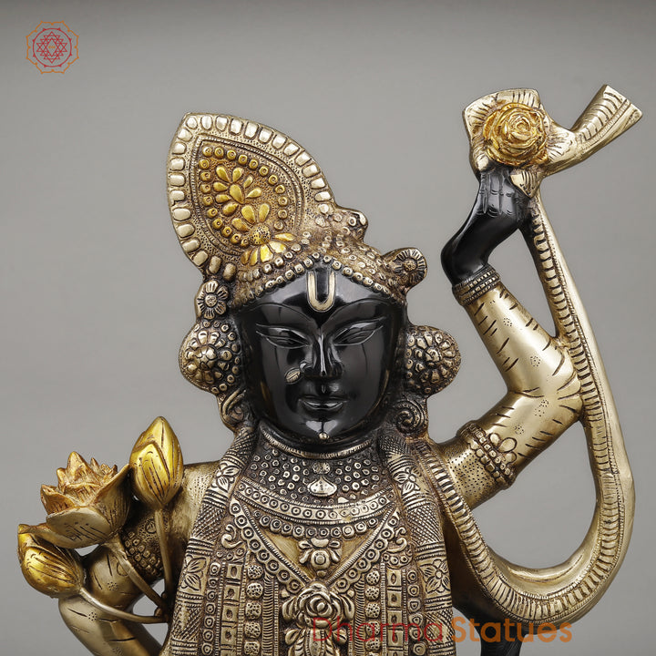 Brass Srinath Ji Standing, Golden & Black& Smooth Finish, 32"